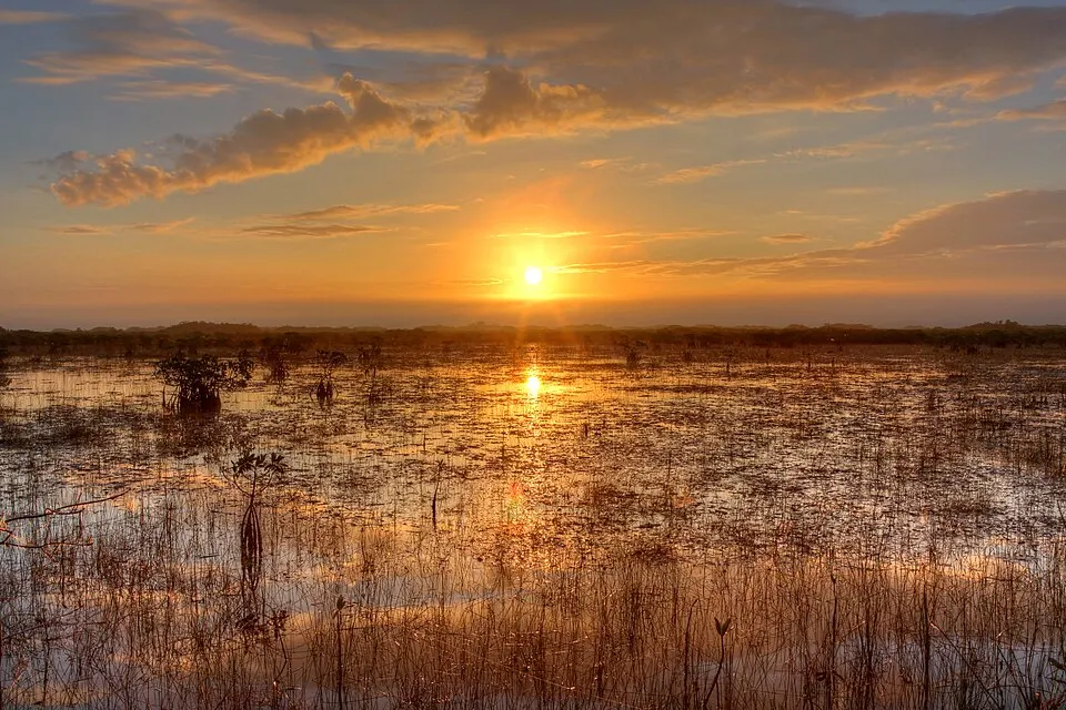 The sun setting over a flat, watery grassland.