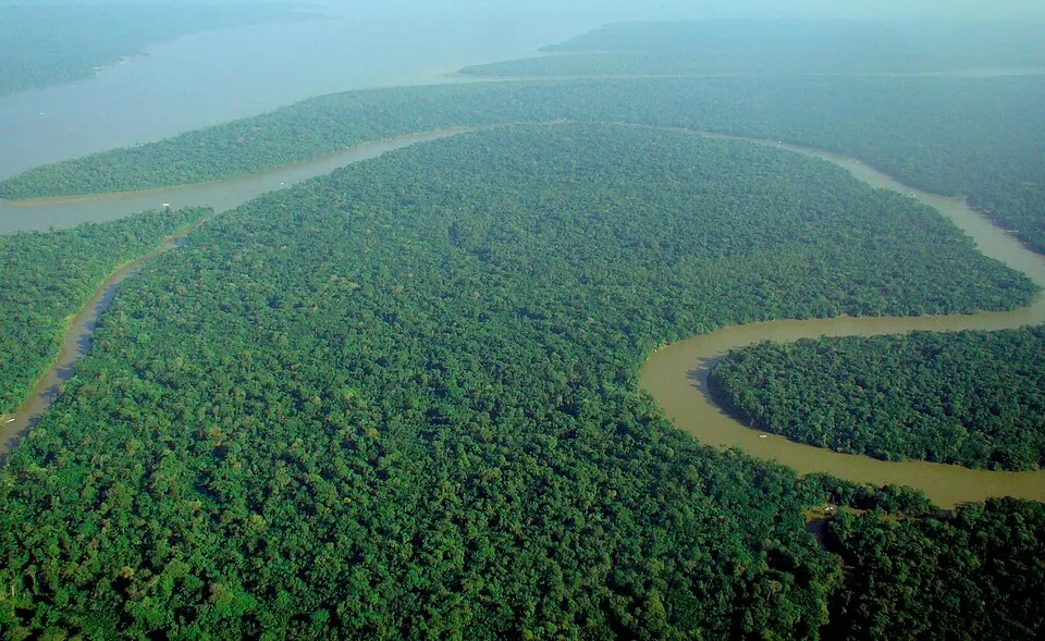 An aerial view of dense green rainforest with a muddy brown river winding through it.