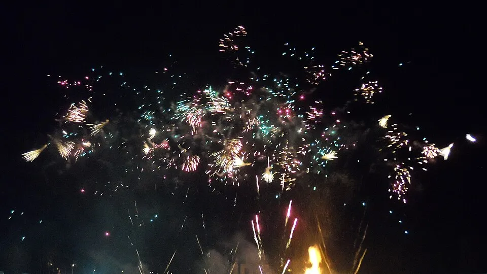 Colourful fireworks bursting against a dark night sky.