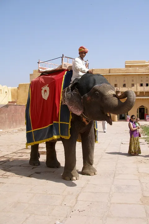 A turbaned rider sits on a decorated elephant in a sandy-coloured fort courtyard, with a woman and baby standing nearby.