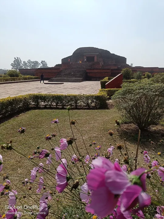 हरे लॉन और गुलाबी फूलों के पीछे सीढ़ियों वाला एक प्राचीन ईंट का स्तूपनुमा खंडहर।
