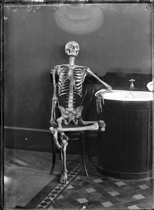An old black-and-white photograph of a human skeleton sitting on a wooden chair next to a sink.