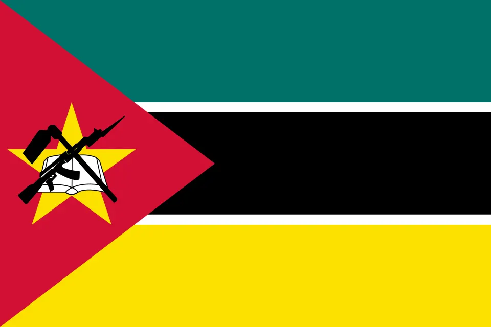 A flag with horizontal stripes, a red triangle and a yellow star with a book and rifle.