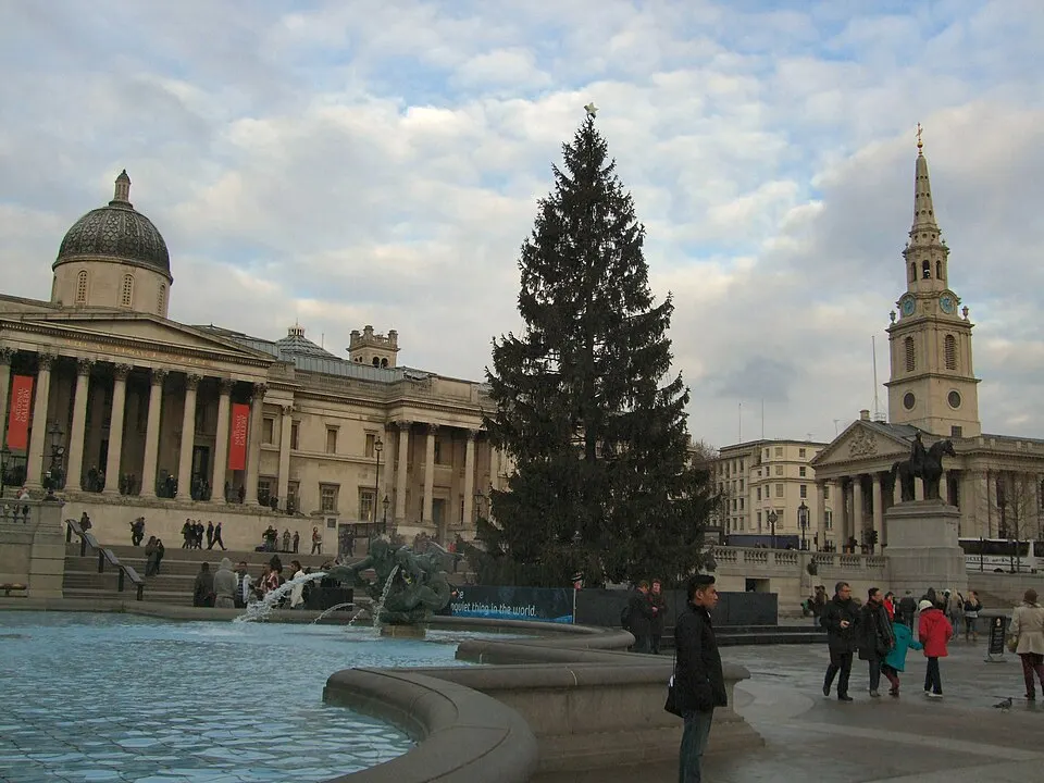 A very tall evergreen tree standing in a large city square beside a fountain, with a columned building and a church spire behind it.