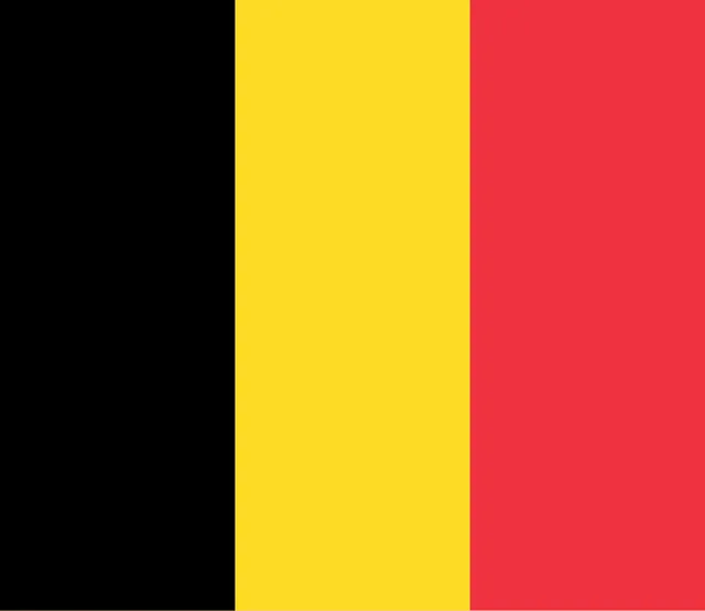 Flag with three vertical stripes: black, yellow and red