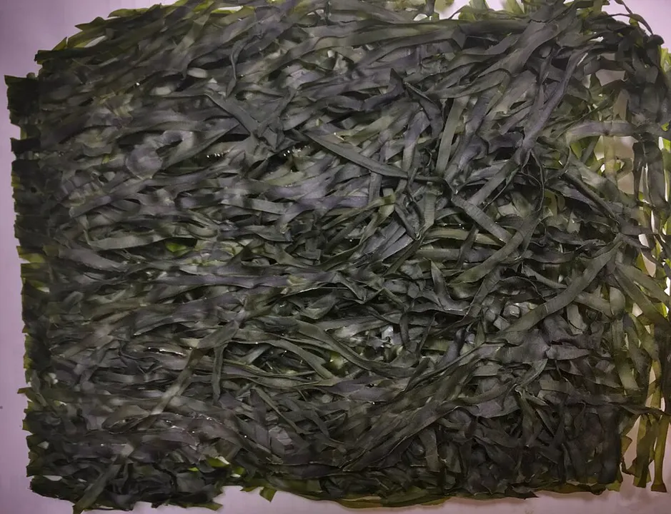Dried dark sheets of seaweed laid flat.