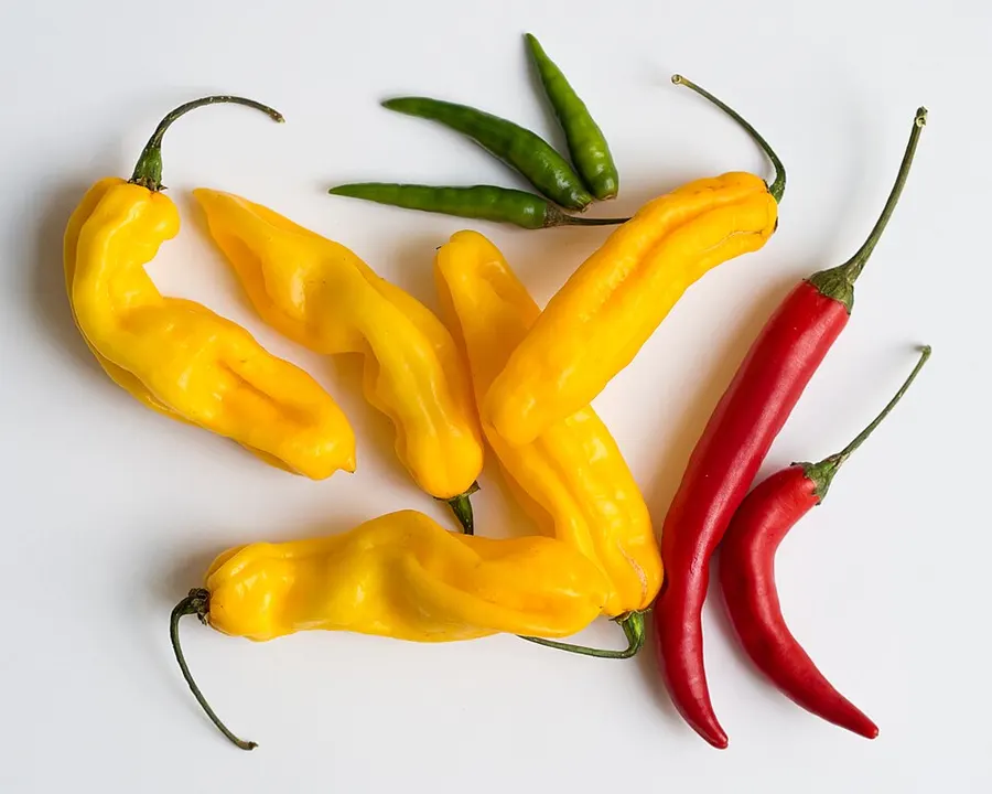 Yellow, red and green chilli peppers on a white table.