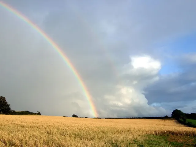 A curved band of colours arcing across a cloudy sky above a golden field.