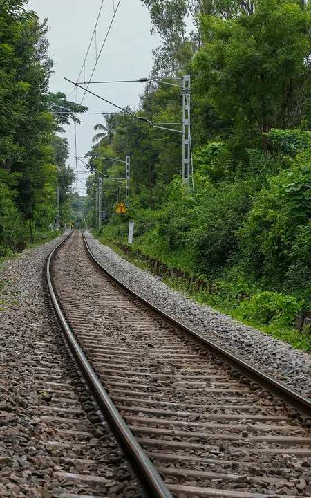 An empty railway line curving away between green trees and overhead wires.