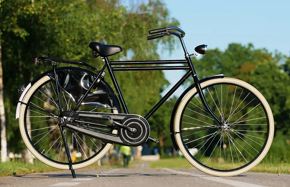 A black bicycle with cream-coloured tyres standing on a path with green trees behind.