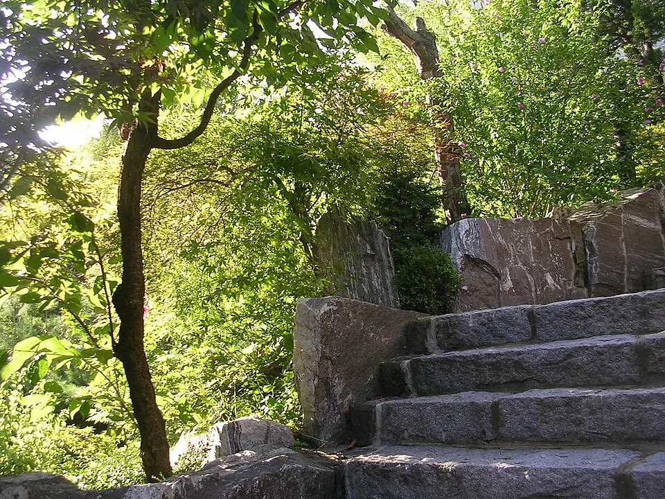 Sunlight shining through the green leaves of trees and bushes beside stone steps.