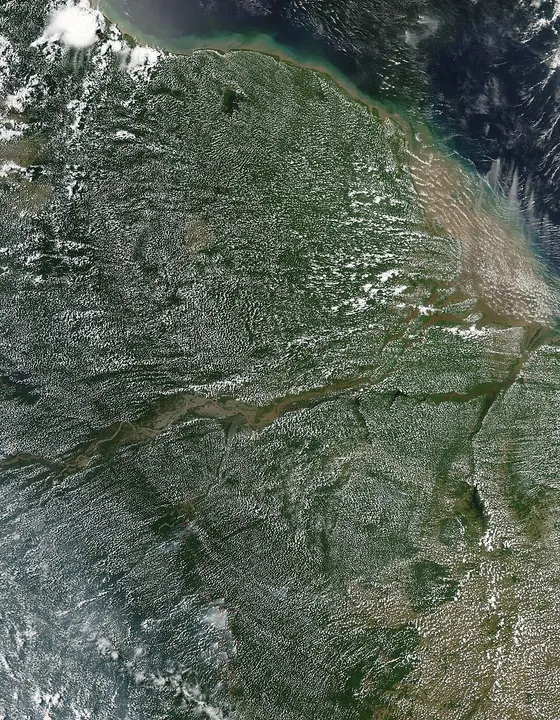 A satellite view of dense green forest and clouds, with a wide muddy river winding to the sea.