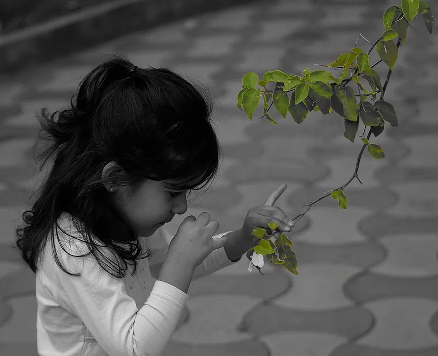 A little girl bending close to a small white flower on a leafy branch.