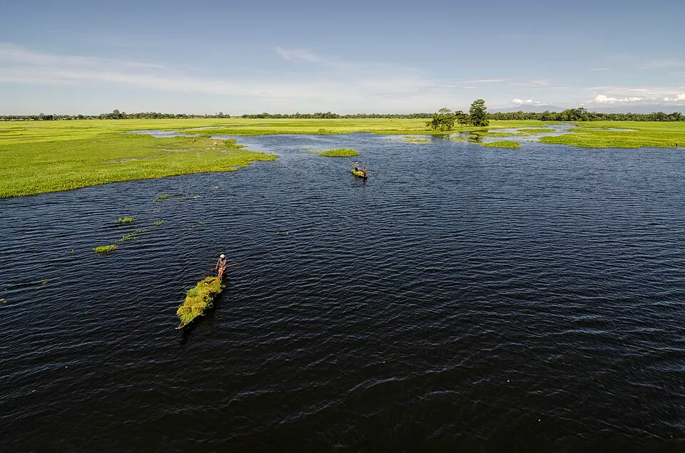 A wide river with green wetland grasses along the banks and a boatman poling a boat loaded with grass.