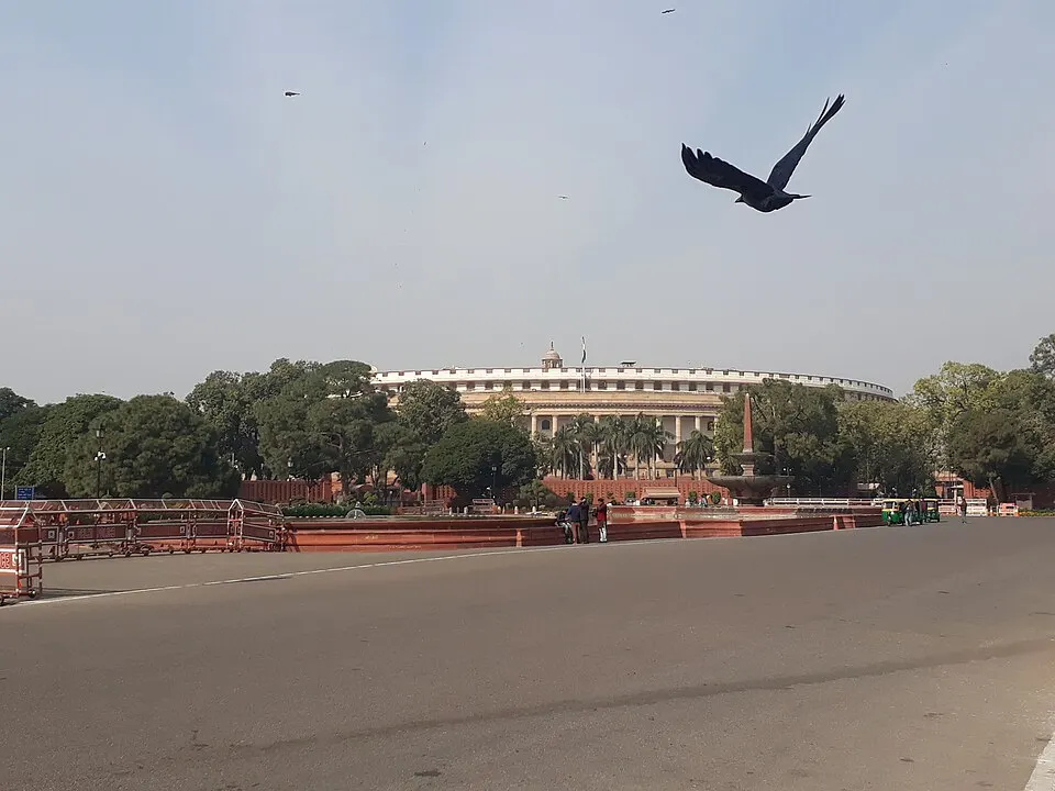 A crow in flight over a road, with a large round colonnaded building seen beyond trees and a fountain.