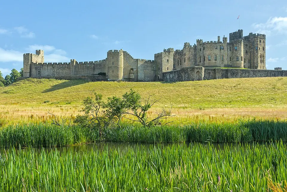 A large medieval stone castle with towers and battlements on a grassy hill above a reed-lined pond.