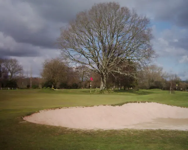 A golf green with a small red flag, a sand bunker in front and a large bare tree behind.