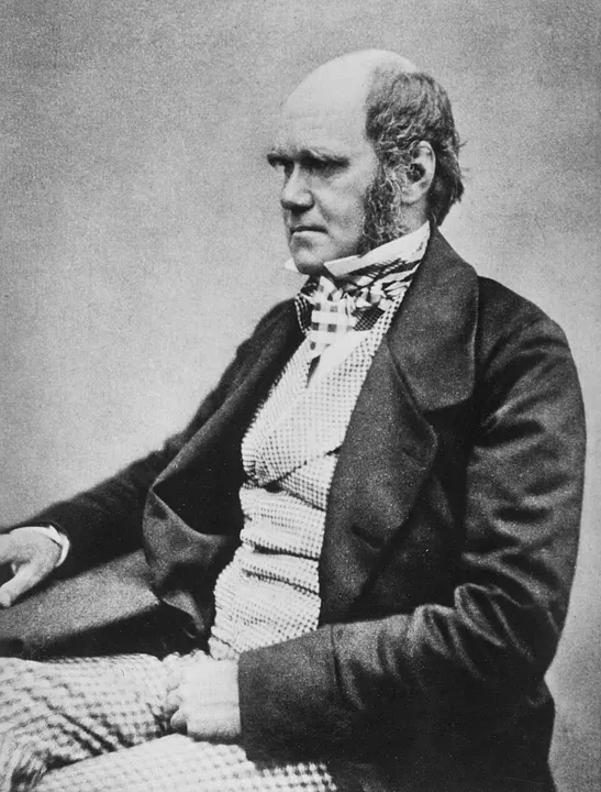 A black-and-white portrait of an old man with a long white beard.