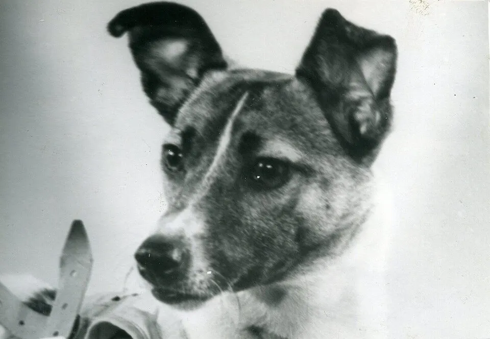 A monument of a small dog beside a rocket.