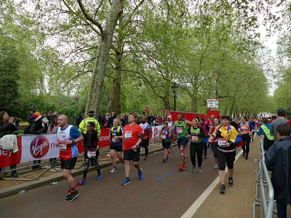 A group of runners with race numbers pass along a tree-lined road during a marathon.