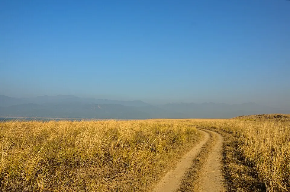 A sandy jeep track bends through tall golden grass towards distant blue hills and a wide stretch of water.