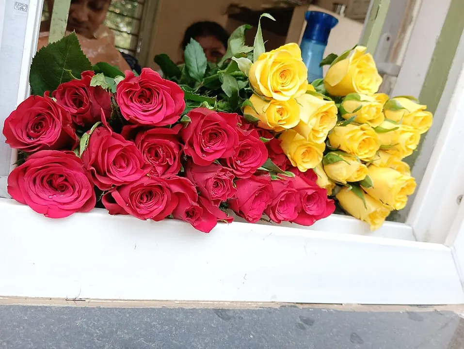 A bunch of red roses and a bunch of yellow roses laid on a white windowsill.