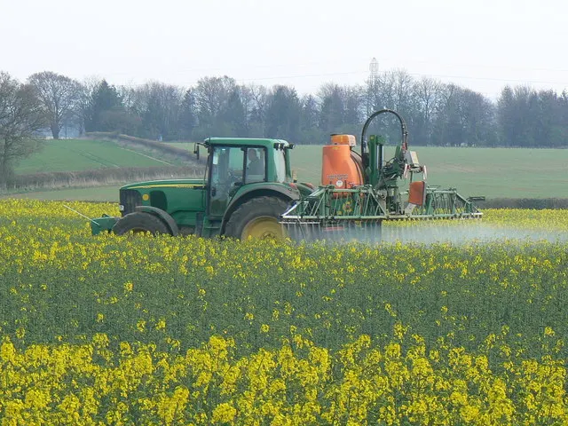 A green tractor with a long boom spraying a field of yellow flowering crop.