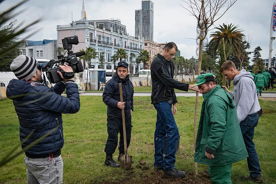 Several men standing around a thin young tree being planted in a grassy park while a cameraman films.