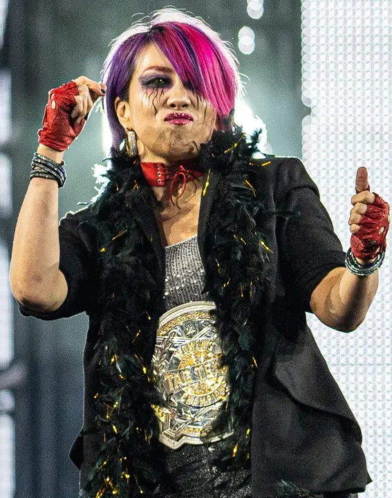 A female wrestler with long dark hair in ring gear.